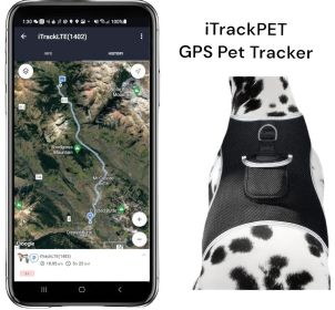 Waterproof Mini GSM GPRS Pet Tracker for Convenient Cat & Dog Tracking Size:XS