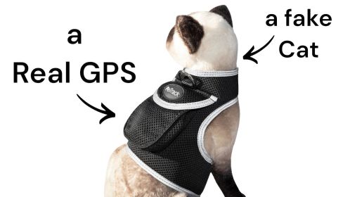 NEW Waterproof Realtime GSM GPS Mini Pet Puppy Tracking Collar Device Size:L